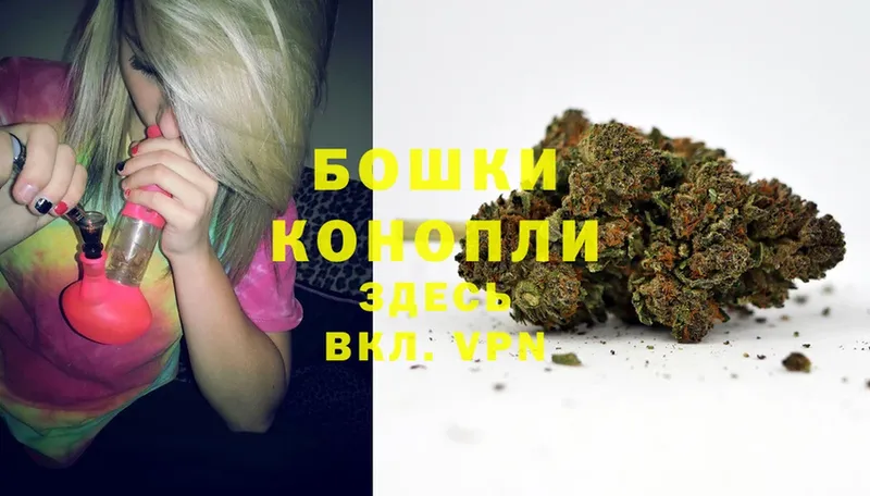 Шишки марихуана OG Kush  Закаменск 